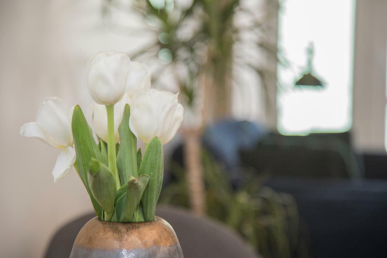 Liiiving In Porto - Cozy & Chic Downtown Apartman Kültér fotó